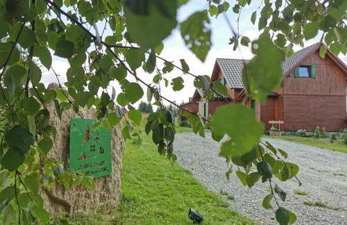 Apartament Zielone Okiennice - Foto 9