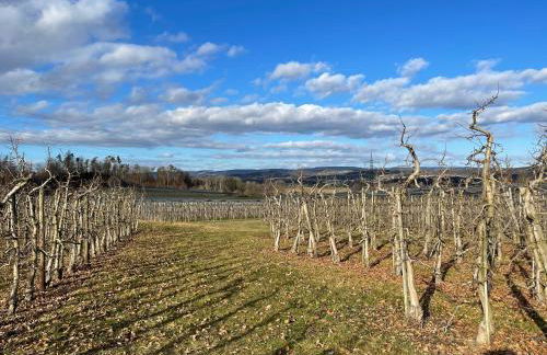 Ferienhaus Apfelblüte by Heinke Wohnraum - Foto 41