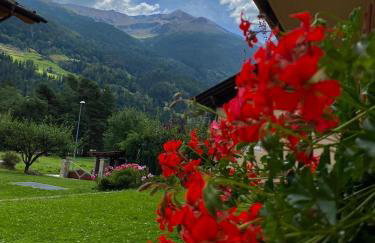 Casa Clus Bormio apartments 1 - Foto 21
