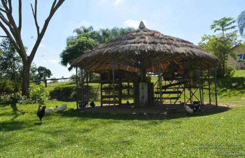Hotel Fazenda Sete Lagos - Photo 74