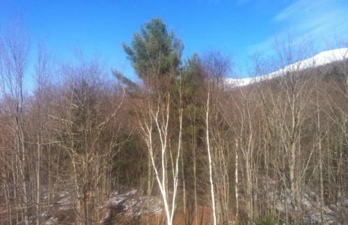 Meadow House Backcountry Residency - Foto 72