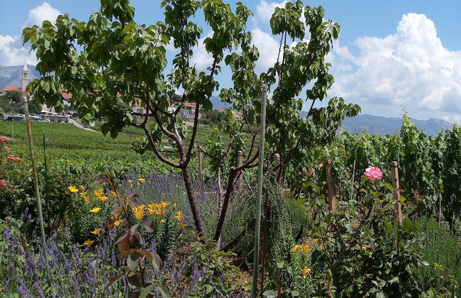 Apartment Kata - Foto 14