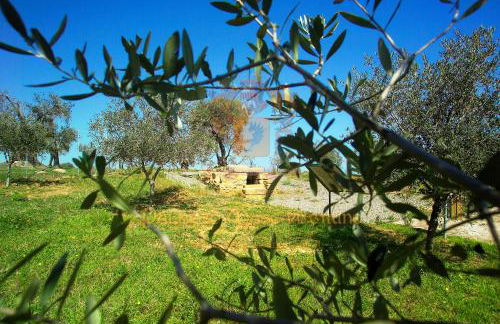 Palazzo Mascambruno - Foto 34