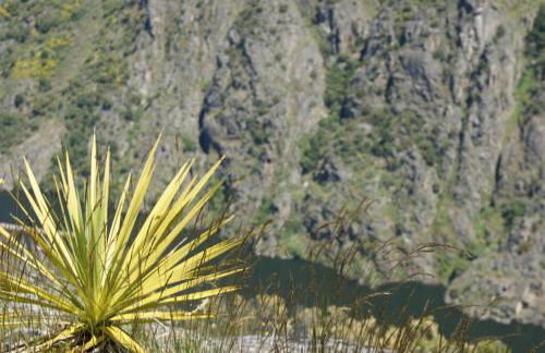 Casa O Torgal - Foto 12