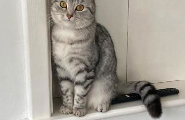 Cosy 2 BR cabin on coast private hot tub ' Driftwood ' - Photo 14