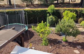 Villa De Lux with pool - Foto 34