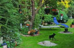 Oase am Deich - Photo 24