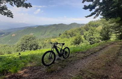 Da Castruccio degli Antelminelli - Foto 51