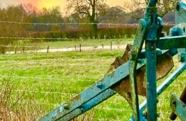 The Swallows Rest, Avebury - Foto 29