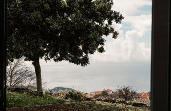 Madeira Island Rustic Mountain Home - Foto 17