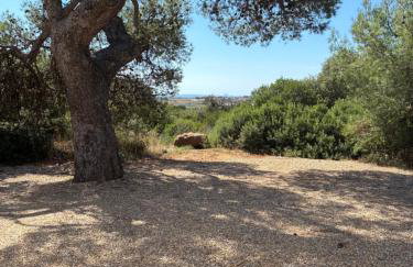 Maison au cœur de la garrigue - Foto 21