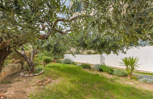 STAR of the SEA 2 - Photo 38