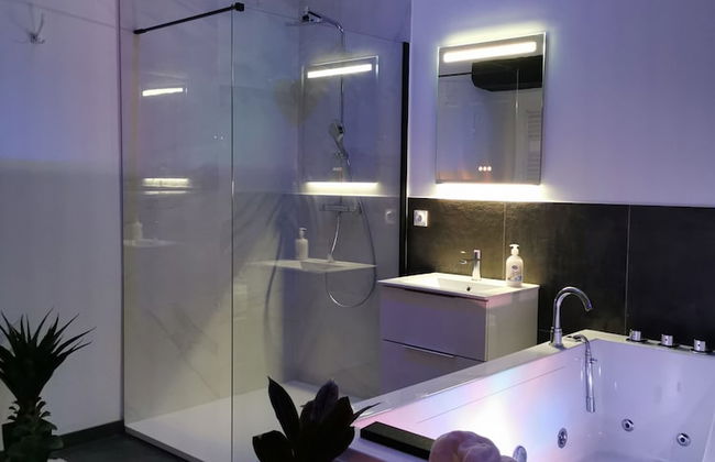 Les Sansonnets - Foto 7