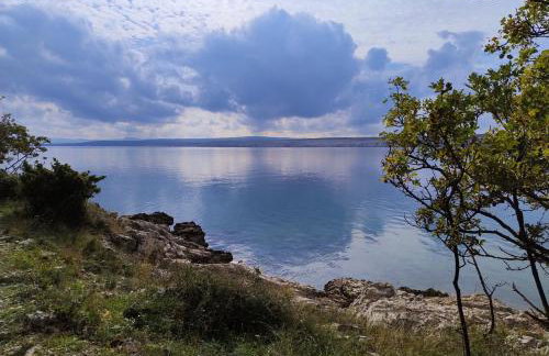 Apartment Tušek - Foto 71