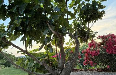 STARA KUĆA - old stone house - Foto 51