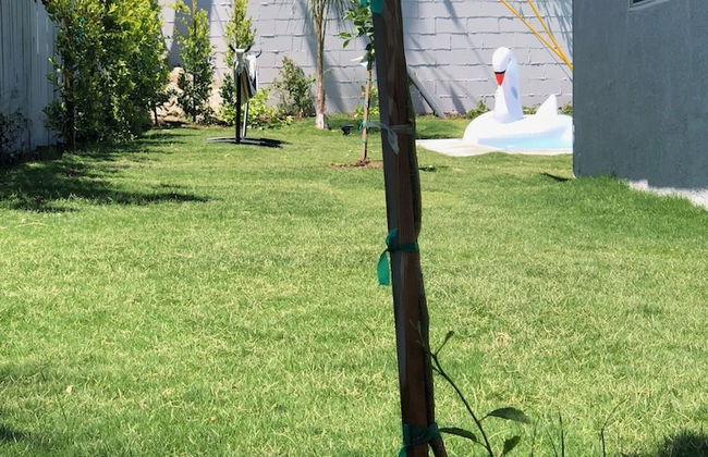 The Colony House Palm Springs - Foto 21