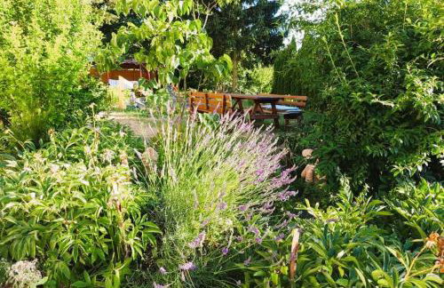 Olszyna Pod Brzozą - Foto 59