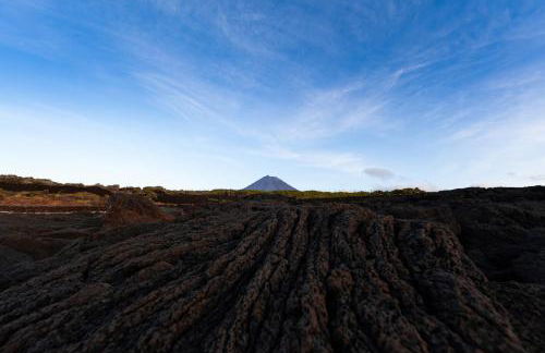 Adega Menezes - Photo 13