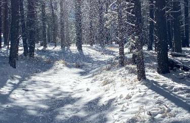 Change of Altitude 7320 - Foto 21