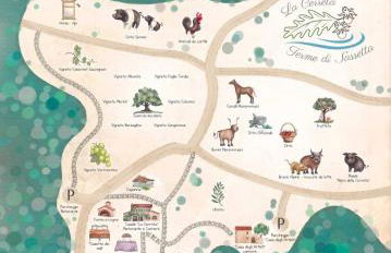 La Cerreta - Terme di Sassetta - Foto 108