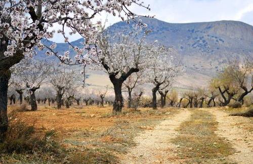 Casa Mundo - 16th century traditional white village house with pool - Foto 75