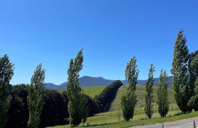 SOUMAH Wines - Photo 5