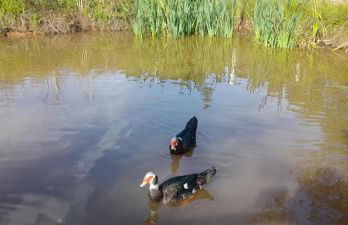 Quinta Da Bolota double room - Foto 31