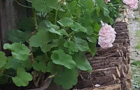 Ferienwohnung 1880 - Foto 41