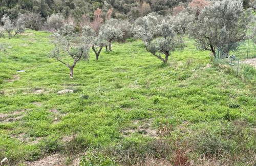 Podere Buriano, Villa with Swimmingpool - Foto 8