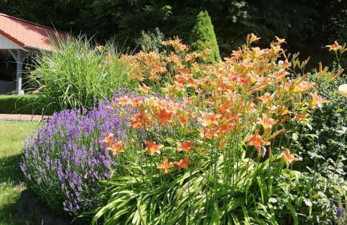 Ferienwohnung am Benther Berg - Foto 34