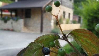 House Marijan - Foto 2