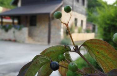 House Marijan - Foto 2