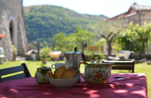 Agriturismo campagna in compagnia - Foto 17