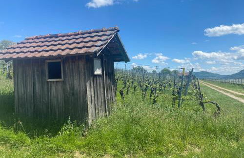 Cozy home in South-germany - Foto 28