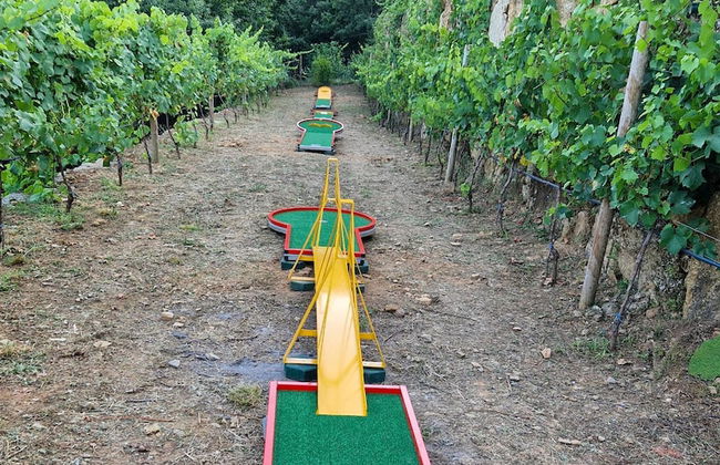 Moinhos do Paiva - Foto 28