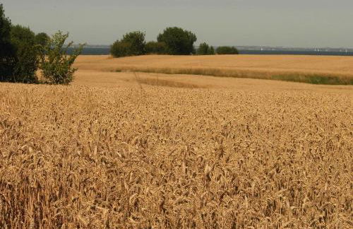 Gemuetliches Blockhaus - Photo 19