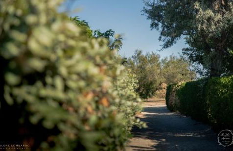 Le Mas aux Amoureux , Suite Romantique et Spa - Foto 35