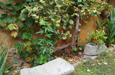 Ca l'Àvia Remei - Foto 55