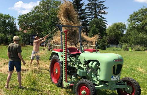 Appartement Alte Schmiede - Foto 11