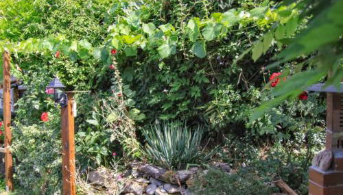 Bianca - Foto 2, Garden