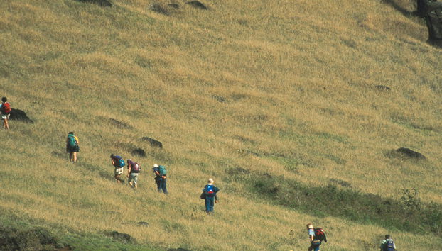 Anakena et Rano Raraku - Excursion d'une journée - Photo 5