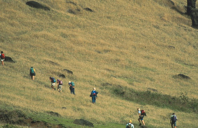 Anakena et Rano Raraku - Excursion d'une journée - Photo 5