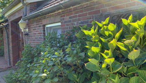 Haus Landruhe - Foto 2