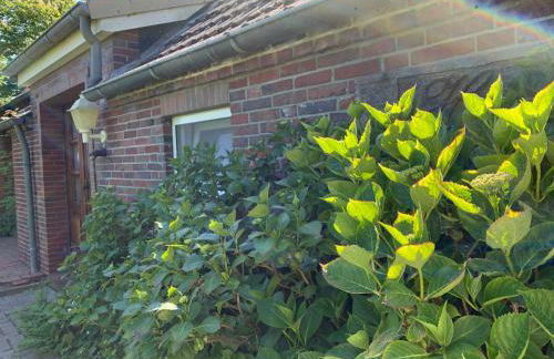 Haus Landruhe - Photo 2