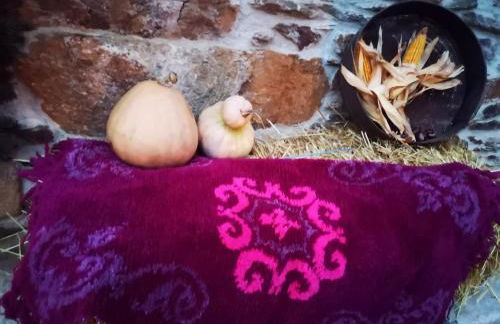 Casa de Campo dos Távoras - Foto 54