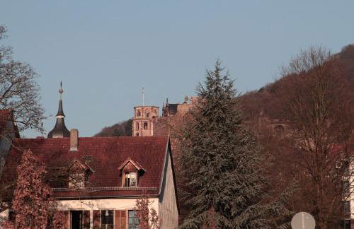 Altstadtblick - Foto 19