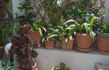 To limanaki - Foto 47