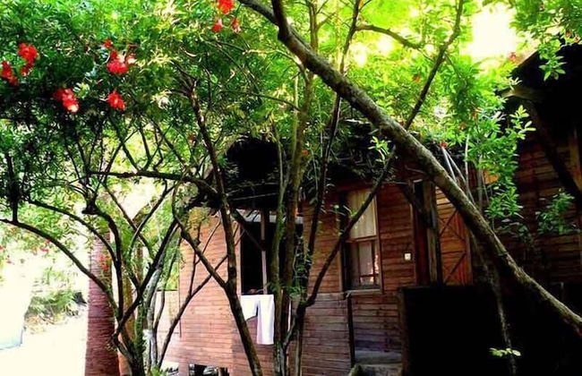 Sheriff Olimpos - Photo 5