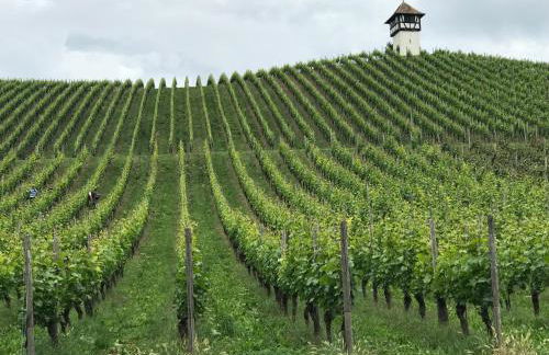 Ferienwohnung Lakewinds - Foto 35