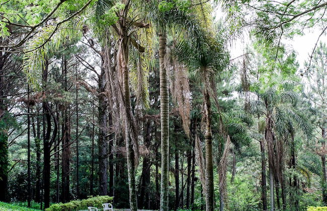 Chalet em Viamão - Foto 24